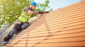 Best Asphalt Shingle Roofing  in Crystal River, FL