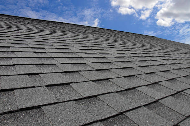Steel Roofing in Crystal River, FL